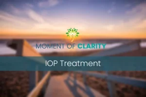 Moment of Clarity Releases New Website Resource Examining Transcranial Magnetic Stimulation in Schizophrenia Recovery