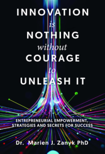 A Practical Guide to Courageous Innovation and Transformational Leadership