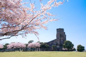 Yokohama Introduces Key Cherry Blossom Viewing Areas for Spring