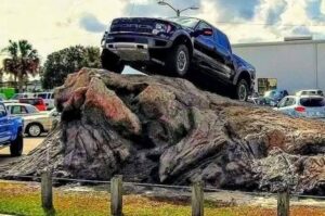 Mangorock International Expands Global Delivery of Lightweight Faux Rock and Waterscapes to Dubai