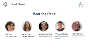 United Planet Hosts Global Webinar on Sea Turtle Conservation in Costa Rica