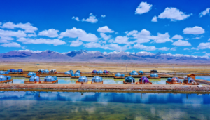 Skycamp: China Leading Polycarbonate Dome Manufacturer Delivering Innovative and Transparent Outdoor Space Solutions