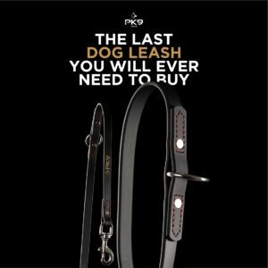 Australian Dog Trainer Redefines Luxury Pet Gear With Old-World Craft