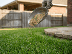 North Texas Lawn Solutions Published a Texas Lawn Fertilizer Guide