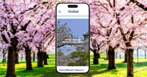 Mobal Releases Comprehensive Guide to Japan’s Cherry Blossom Season