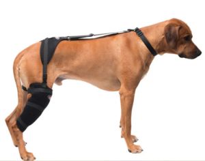 True care begins where comfort and recovery meet – Calderaโs